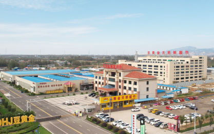 視覺升級(jí) | 聚焦0添加，豆黃金開啟品牌煥新！